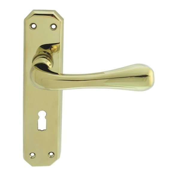 DL410 • Standard Lock [57mm] • Polished Brass • Carlisle Brass Eden Levers On Backplates