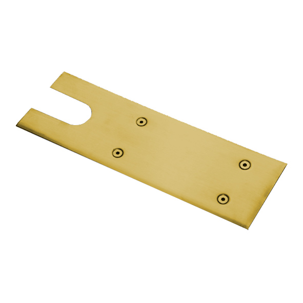 X050-PB  Polished Brass  Floor Spring Cover Plate Only