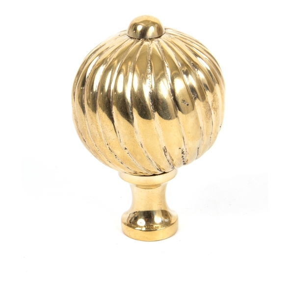 83552 • 45mm • Polished Brass • From The Anvil Spiral Cabinet Knob - Large