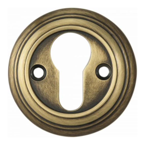 DK1FB  Florentine Bronze  Delamain Euro Cylinder Escutcheons