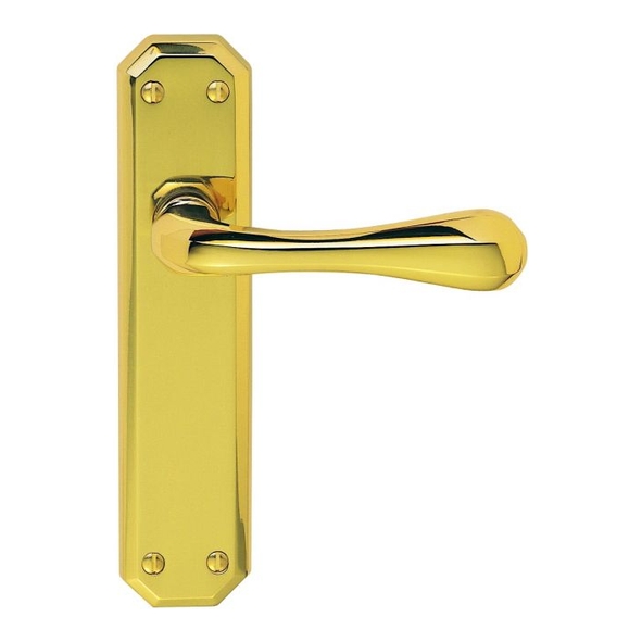 DL411 • Long Plate Latch • Polished Brass • Carlisle Brass Eden Levers On Backplates