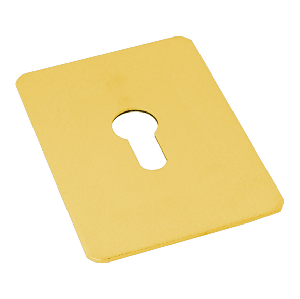 JE2-PB  For Standard Lock  Polished Brass  Flat Self Adhesive Repair Escutcheon