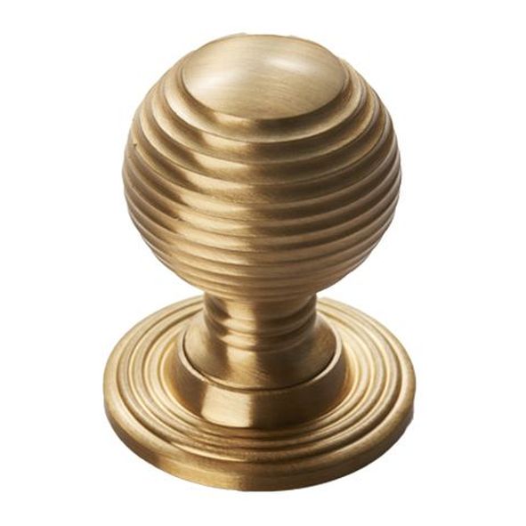 M1003SB  23 x 25 x 33mm  Satin Brass  Fingertip Design Queen Anne Cabinet Knob