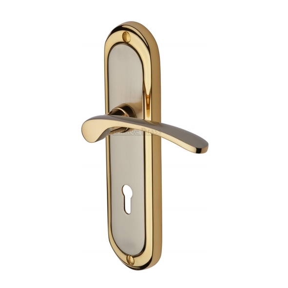 AMB6200-JP  Standard Lock [57mm]  Satin Nickel / Gold  Heritage Brass Ambassador Levers On Backplates