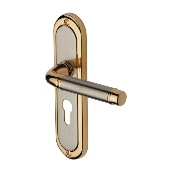 SAT1048-JP  Euro Cylinder [47.5mm]  Satin Nickel / Gold  Heritage Brass Saturn Levers On Backplates