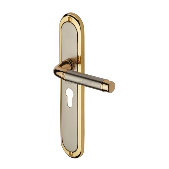 SAT2048-JP  Euro Cylinder [47.5mm]  Satin Nickel / Gold  Heritage Brass Saturn Levers On Long Backplates